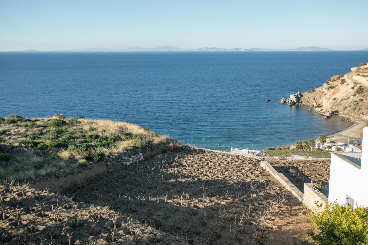 Villa Athina Ambrami Exterior photo